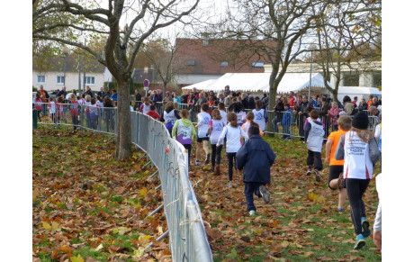 cross de seresville