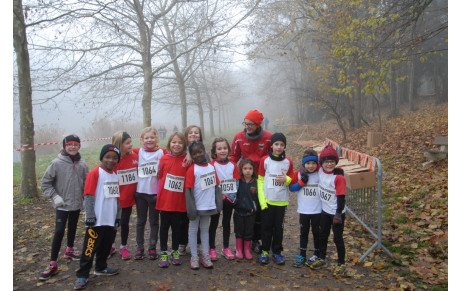 Cross de Pithiviers