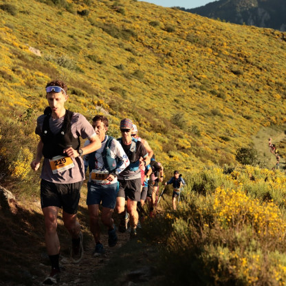 Trail chaussée des géants